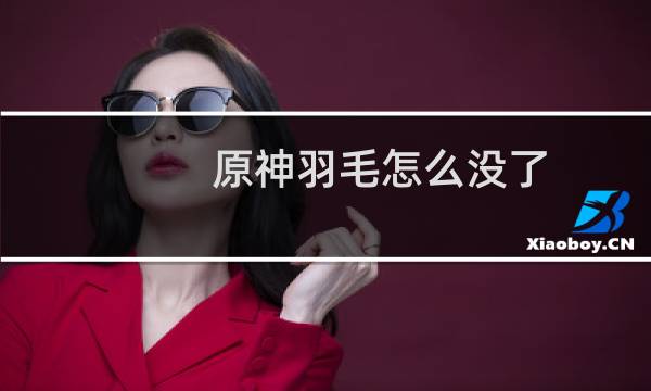 原神羽毛怎么没了