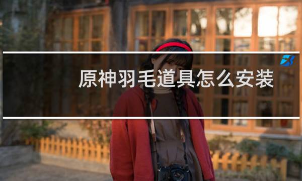 原神羽毛道具怎么安装