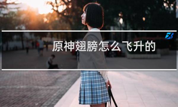 原神翅膀怎么飞升的