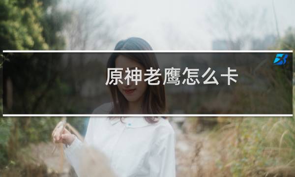 原神老鹰怎么卡
