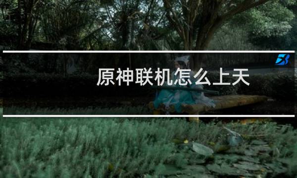 原神联机怎么上天