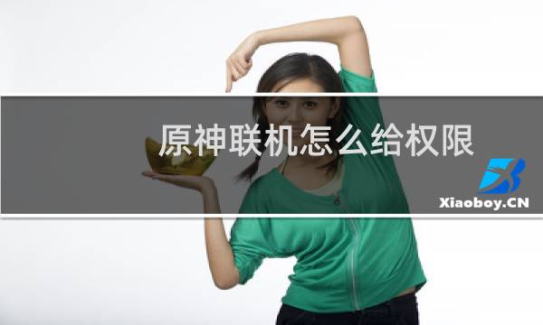 原神联机怎么给权限