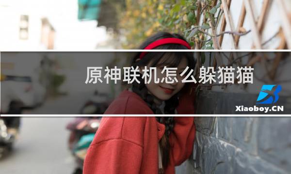 原神联机怎么躲猫猫