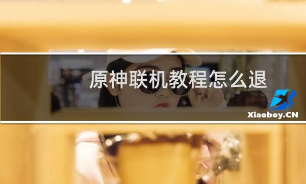 原神联机教程怎么退