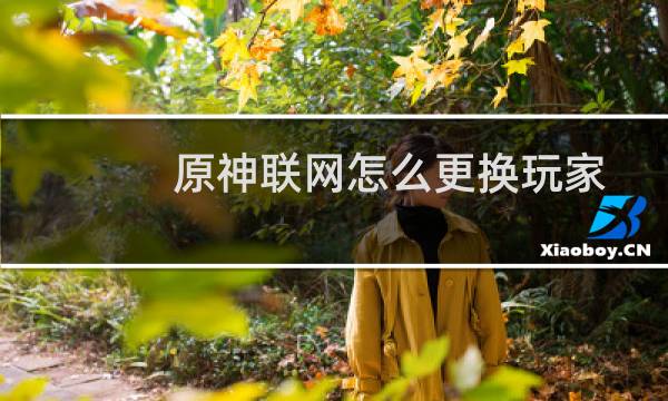 原神联网怎么更换玩家