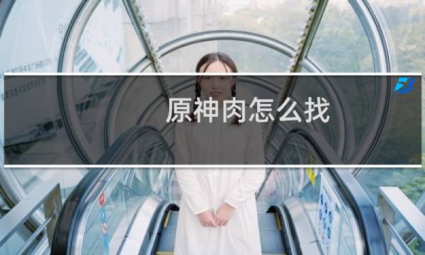 原神肉怎么找
