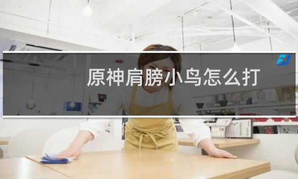 原神肩膀小鸟怎么打