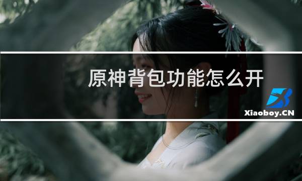 原神背包功能怎么开