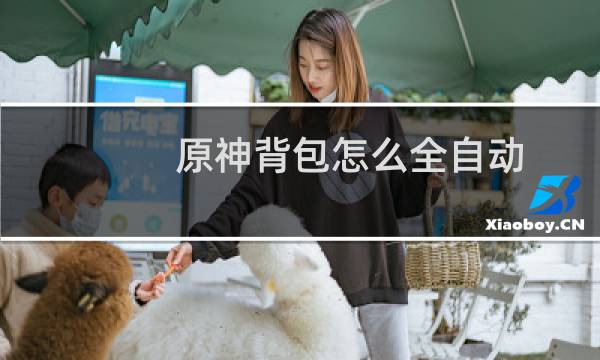 原神背包怎么全自动