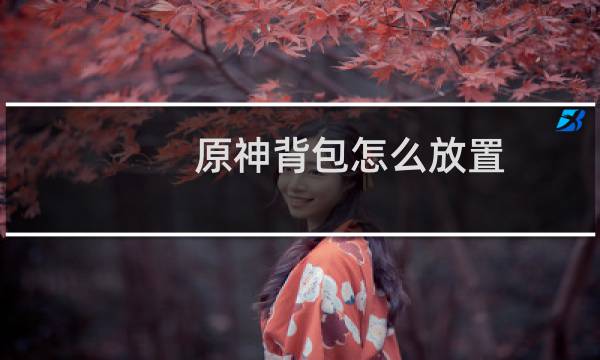 原神背包怎么放置