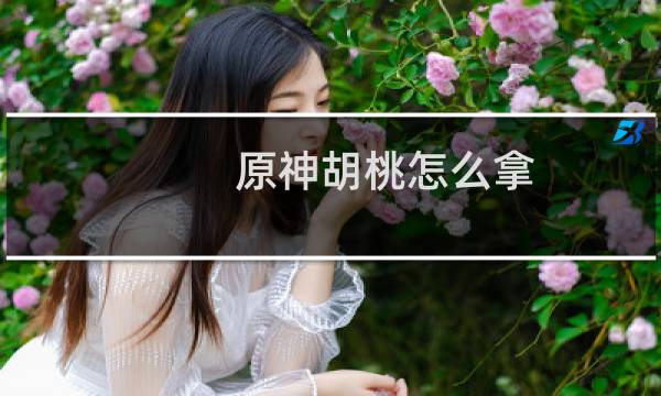原神胡桃怎么拿