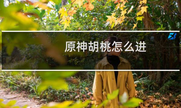 原神胡桃怎么进