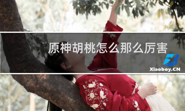 原神胡桃怎么那么厉害