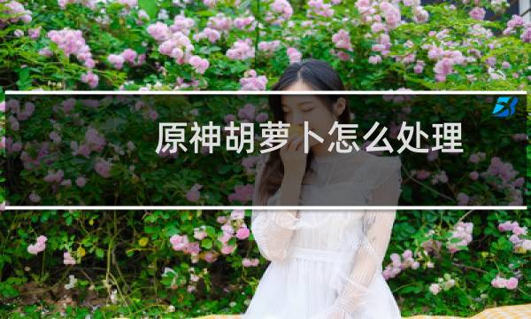 原神胡萝卜怎么处理