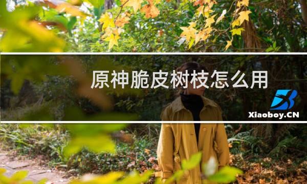 原神脆皮树枝怎么用