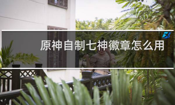 原神自制七神徽章怎么用