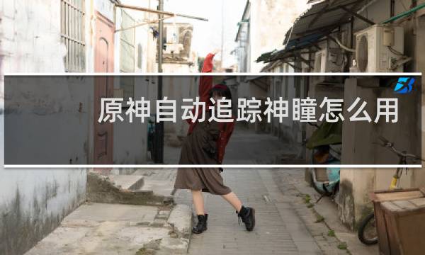 原神自动追踪神瞳怎么用