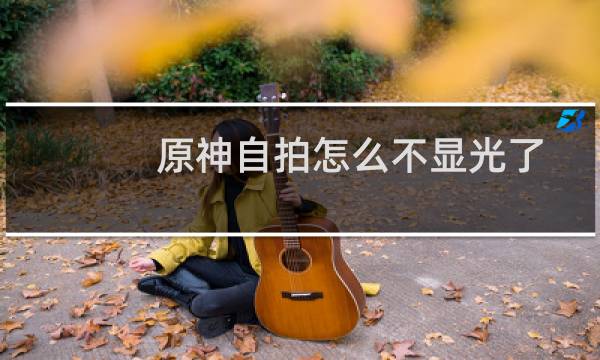 原神自拍怎么不显光了