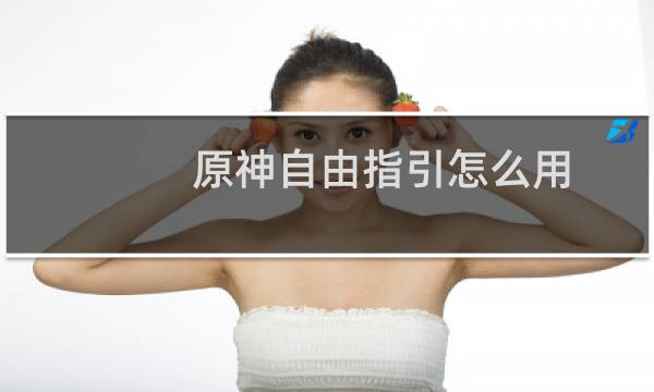 原神自由指引怎么用