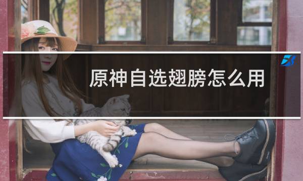 原神自选翅膀怎么用