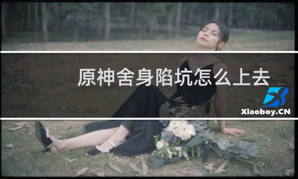 原神舍身陷坑怎么上去