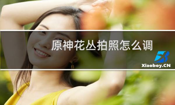 原神花丛拍照怎么调