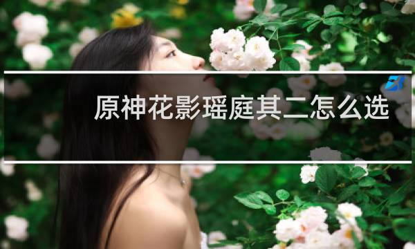 原神花影瑶庭其二怎么选