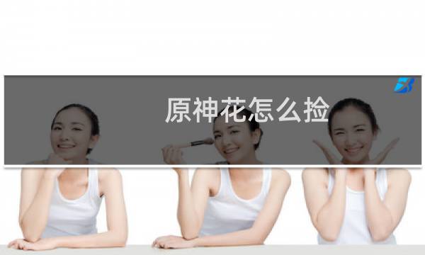 原神花怎么捡