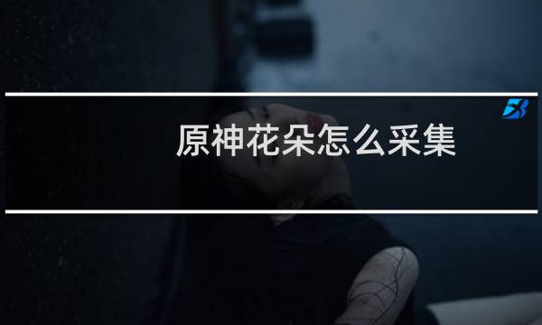 原神花朵怎么采集