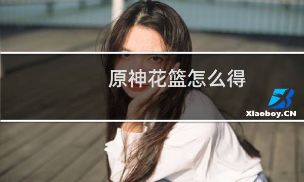 原神花篮怎么得