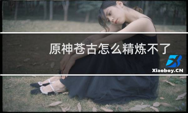 原神苍古怎么精炼不了