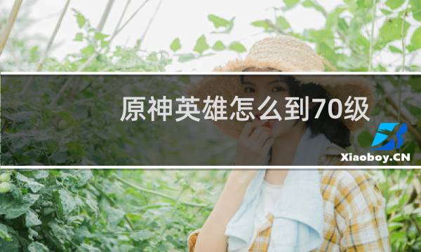 原神英雄怎么到70级