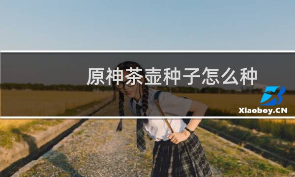 原神茶壶种子怎么种