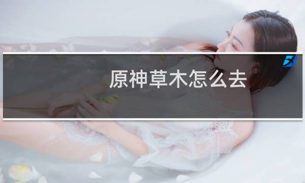 原神草木怎么去