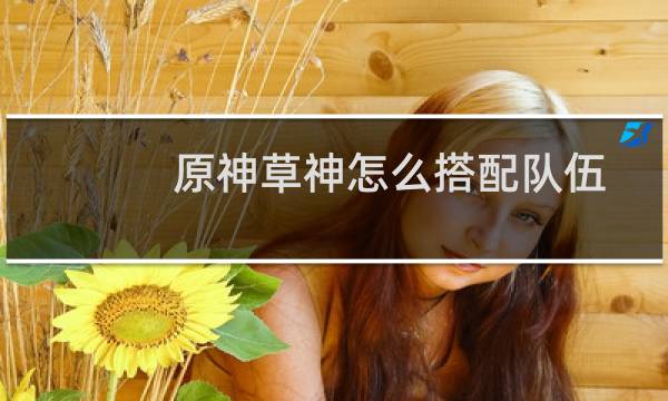 原神草神怎么搭配队伍