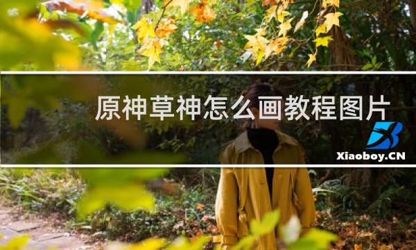 原神草神怎么画教程图片