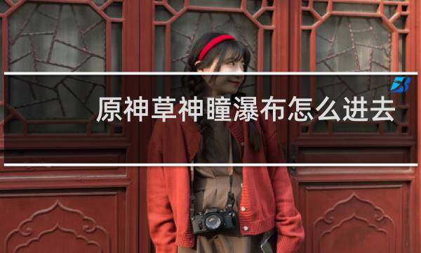 原神草神瞳瀑布怎么进去