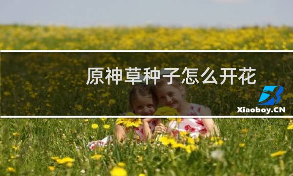 原神草种子怎么开花