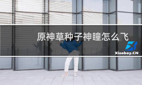 原神草种子神瞳怎么飞