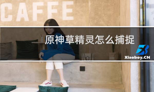 原神草精灵怎么捕捉