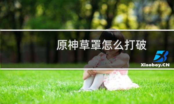 原神草罩怎么打破