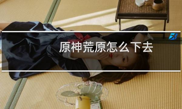 原神荒原怎么下去
