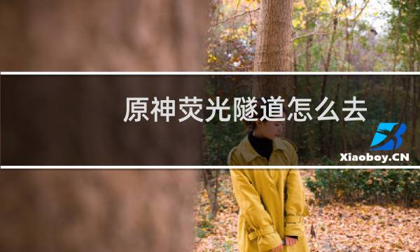 原神荧光隧道怎么去
