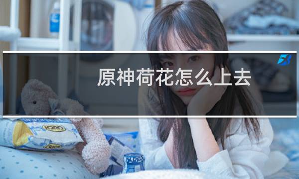 原神荷花怎么上去