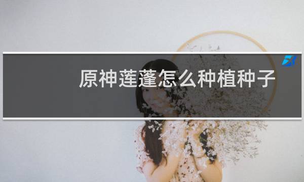 原神莲蓬怎么种植种子