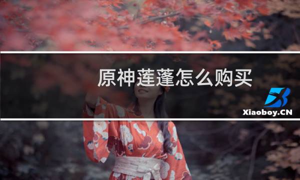 原神莲蓬怎么购买