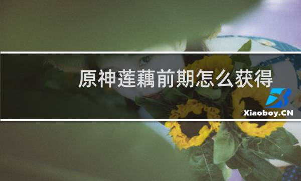 原神莲藕前期怎么获得