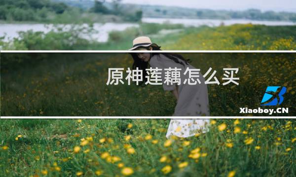 原神莲藕怎么买