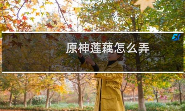 原神莲藕怎么弄