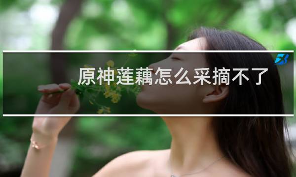 原神莲藕怎么采摘不了